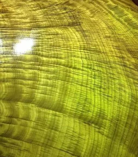 金絲楠烏木：如何區(qū)別金絲楠、黃心楠、黃金樟
